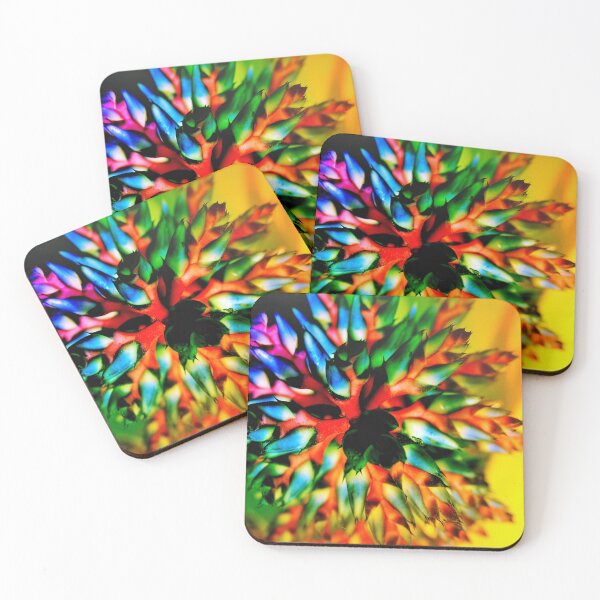 Item preview, Bromeliad color wheel designed and sold by B. Randi Bailey.