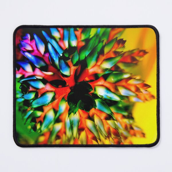 Item preview, Bromeliad color wheel designed and sold by B. Randi Bailey.