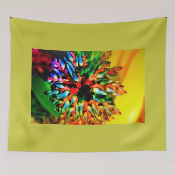 Item preview, Bromeliad color wheel designed and sold by B. Randi Bailey.