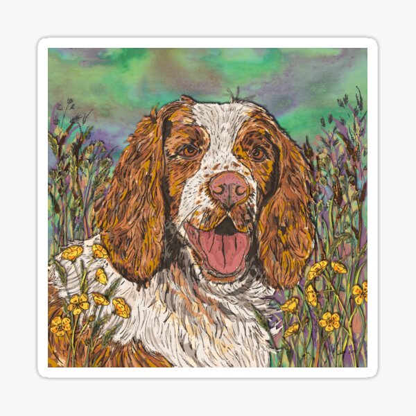 Springer Spaniel Sticker