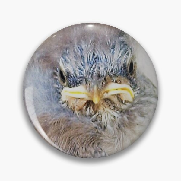 Item preview, Baby mockingbird closeup designed and sold by B. Randi Bailey.