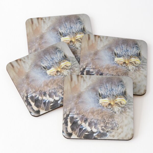 Item preview, Baby mockingbird closeup designed and sold by B. Randi Bailey.