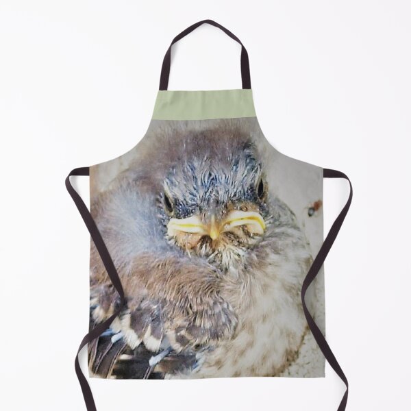 Item preview, Baby mockingbird closeup designed and sold by B. Randi Bailey.