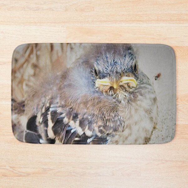 Item preview, Baby mockingbird closeup designed and sold by B. Randi Bailey.