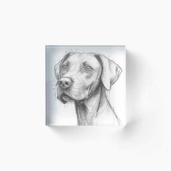 Item preview, Elegant Vizsla Drawing designed and sold by Leon Woods Pencil Art.