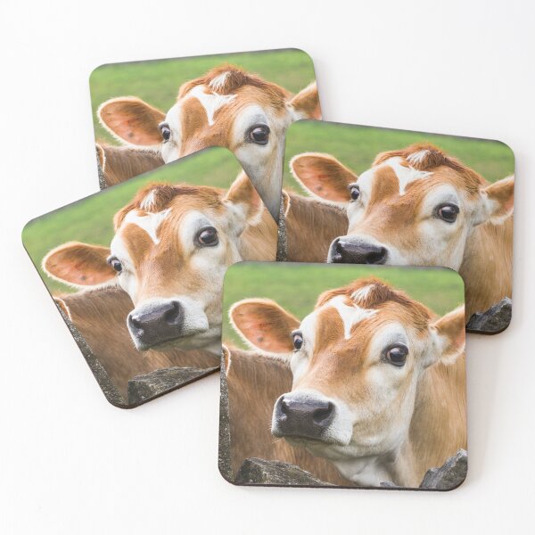 Item preview, Jersey Cow designed and sold by Jane Stanley Photography.
