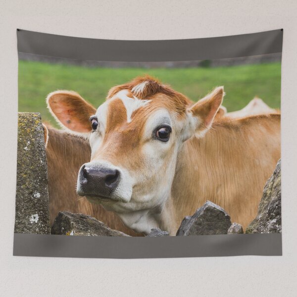 Item preview, Jersey Cow designed and sold by Jane Stanley Photography.