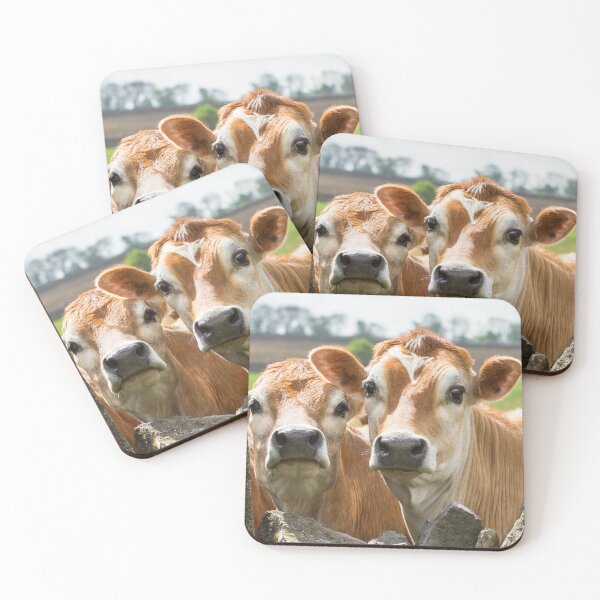 Item preview, Inquisitive Cows designed and sold by Jane Stanley Photography.