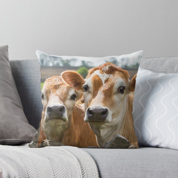Item preview, Inquisitive Cows designed and sold by Jane Stanley Photography.