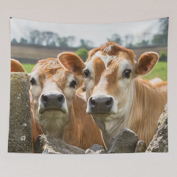 Item preview, Inquisitive Cows designed and sold by Jane Stanley Photography.