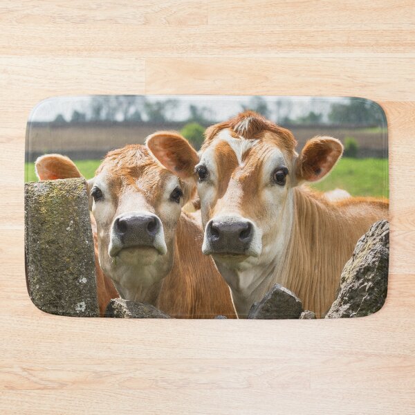 Item preview, Inquisitive Cows designed and sold by Jane Stanley Photography.