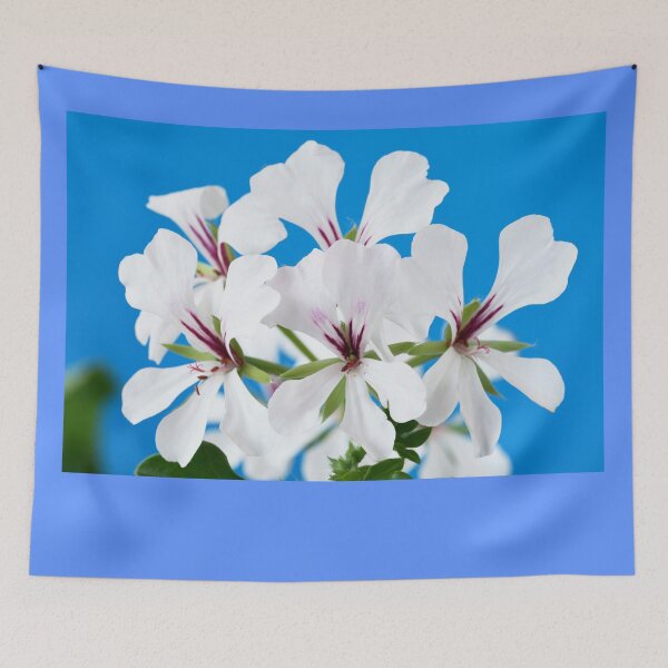 Item preview,  Ivy-leaved Pelargonium  designed and sold by Chris Burrows.
