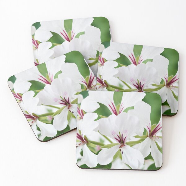 Item preview,  Ivy-leaved Pelargonium designed and sold by Chris Burrows.