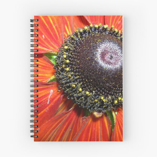 Item preview, Rudbeckia Centre designed and sold by lezvee.