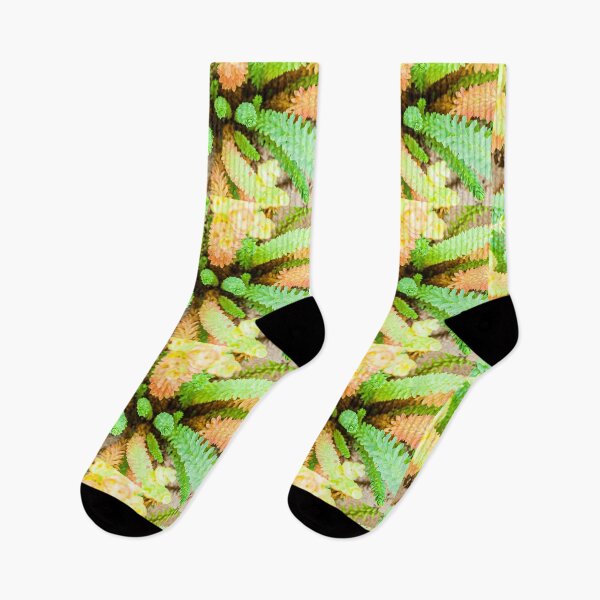 Item preview, In The Sandhills designed and sold by metriognome.