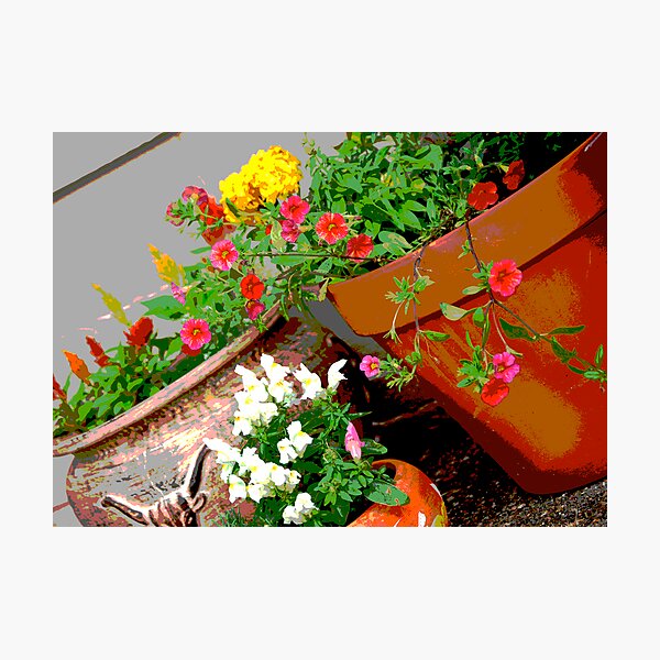 Flower Pots Photographic Print