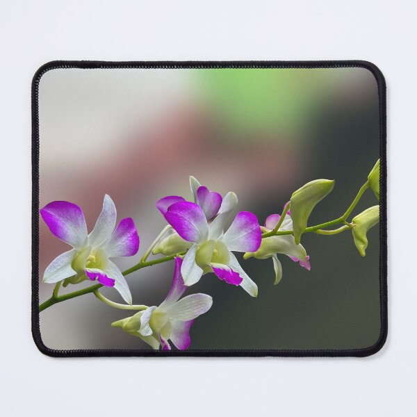 Item preview, Exotic Purple and White Dendrobium Orchid Spray. designed and sold by PorRayong.