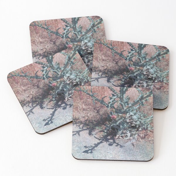 Item preview, Onopordum acanthium designed and sold by 5letters.