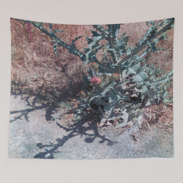 Item preview, Onopordum acanthium designed and sold by 5letters.