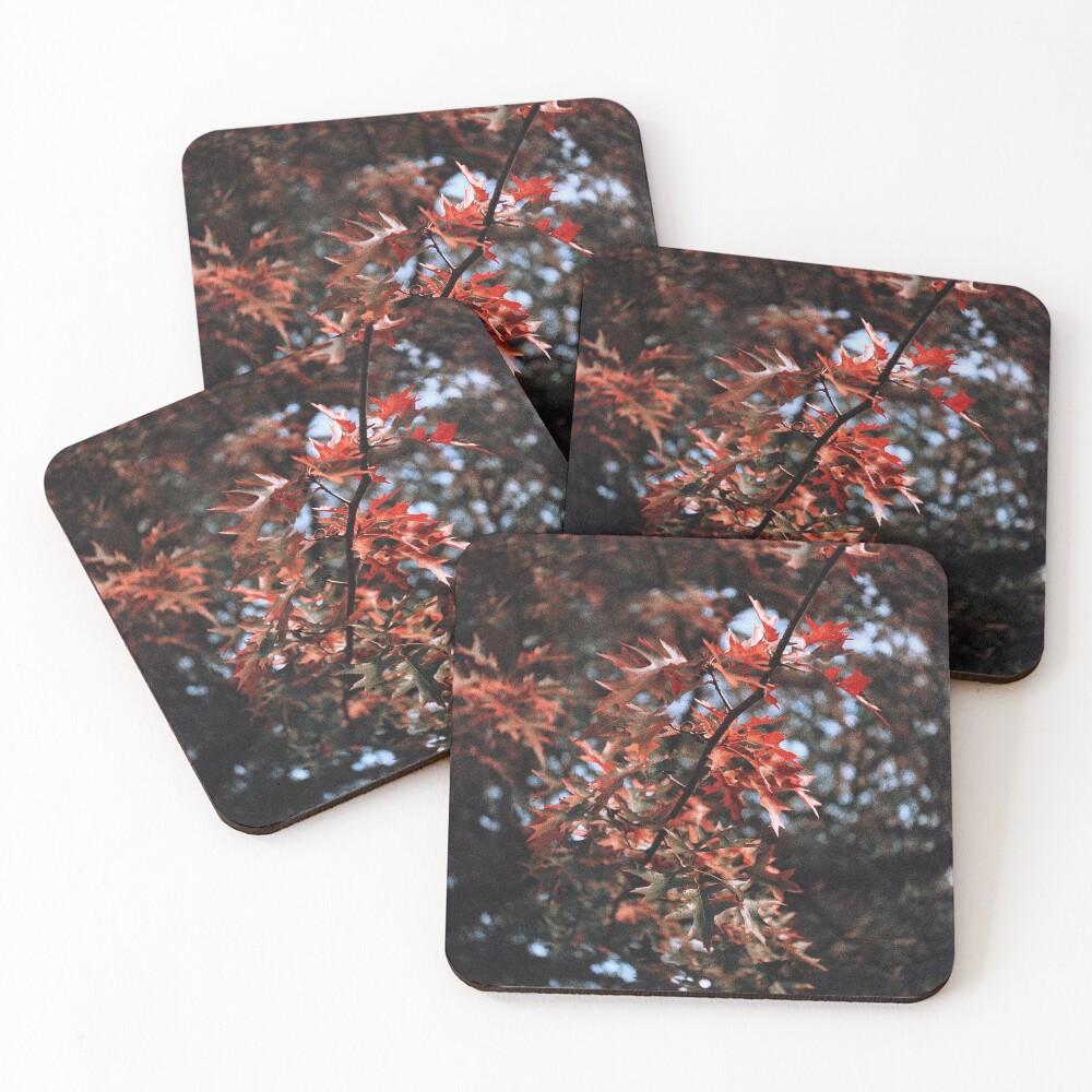 Item preview, Coasters (Set of 4) designed and sold by 5letters.