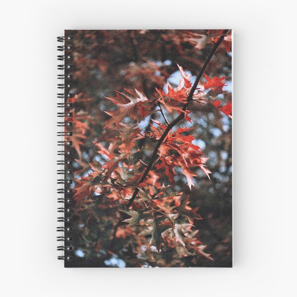 Item preview, complementary designed and sold by 5letters.