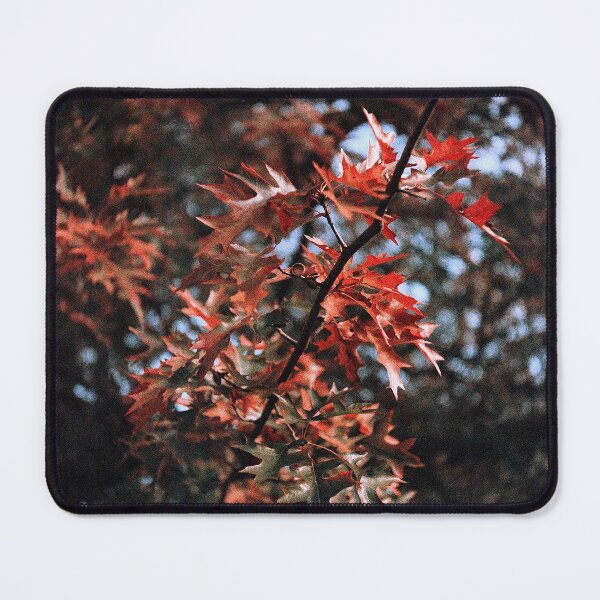 Item preview, complementary designed and sold by 5letters.