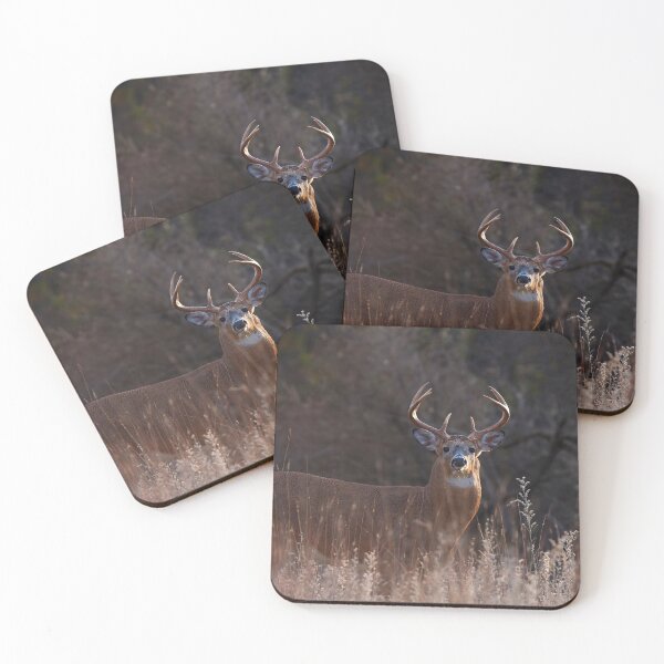 Item preview, White-tailed Buck in the autumn rut designed and sold by James Cumming.
