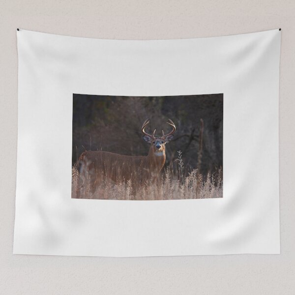 Item preview, White-tailed Buck in the autumn rut designed and sold by James Cumming.
