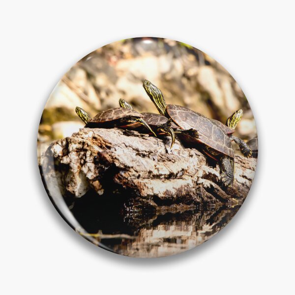 Item preview, Painted turtles on a log designed and sold by KRFNatureGifts.