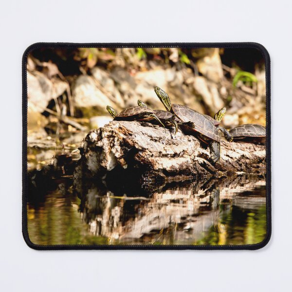 Item preview, Painted turtles on a log designed and sold by KRFNatureGifts.