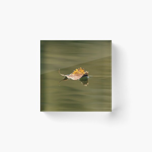 Item preview, Yellow autumn leaf floating on water designed and sold by KRFNatureGifts.