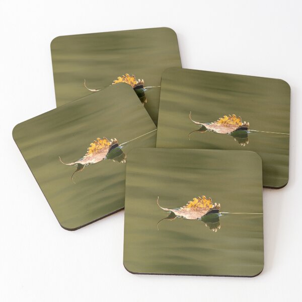Item preview, Yellow autumn leaf floating on water designed and sold by KRFNatureGifts.