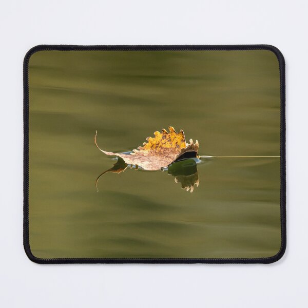 Item preview, Yellow autumn leaf floating on water designed and sold by KRFNatureGifts.