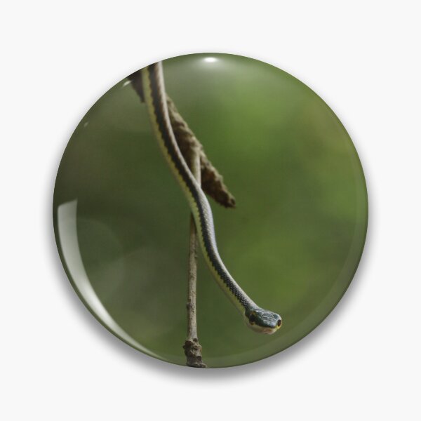 Item preview, The Hanging Watchman designed and sold by alexgrabacamera.