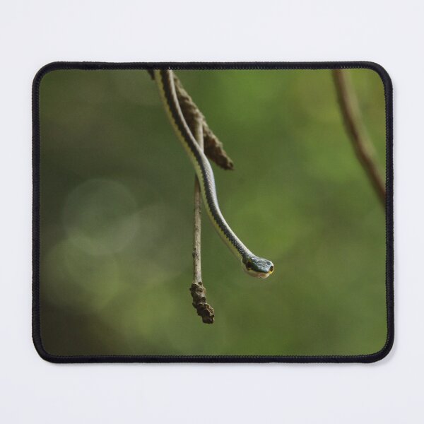 Item preview, The Hanging Watchman designed and sold by alexgrabacamera.