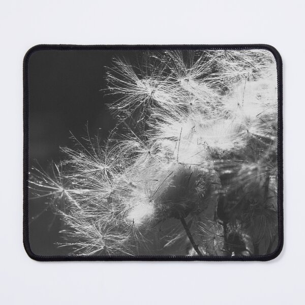 Item preview, The seeds of a thistle designed and sold by Ekirlufly.
