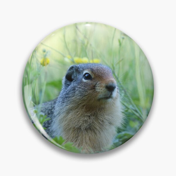 Item preview, Ground Squirrel Amongst the Flowers designed and sold by alexgrabacamera.