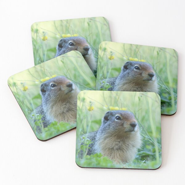 Item preview, Ground Squirrel Amongst the Flowers designed and sold by alexgrabacamera.