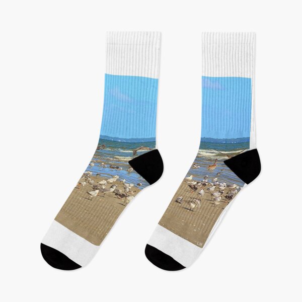 Item preview, Seagulls Gather on Hilton Head Beach designed and sold by LisaWootenPhoto.