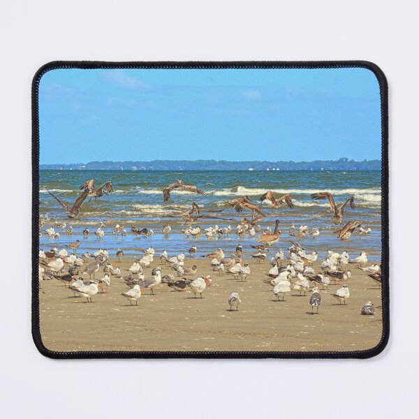 Item preview, Seagulls Gather on Hilton Head Beach designed and sold by LisaWootenPhoto.