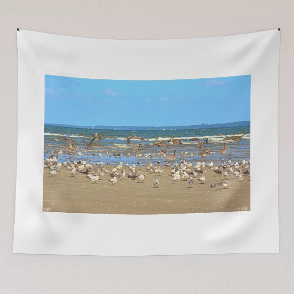 Item preview, Seagulls Gather on Hilton Head Beach designed and sold by LisaWootenPhoto.
