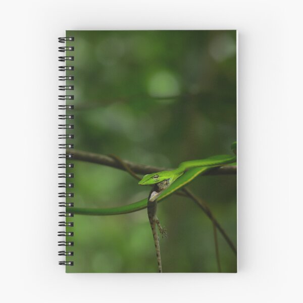 Item preview, A Successful Hunt designed and sold by alexgrabacamera.