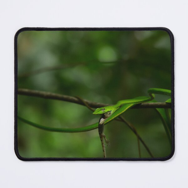 Item preview, A Successful Hunt designed and sold by alexgrabacamera.