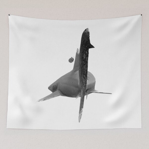 Item preview, Oceanic White Tip Shark designed and sold by Heidi Ingram.