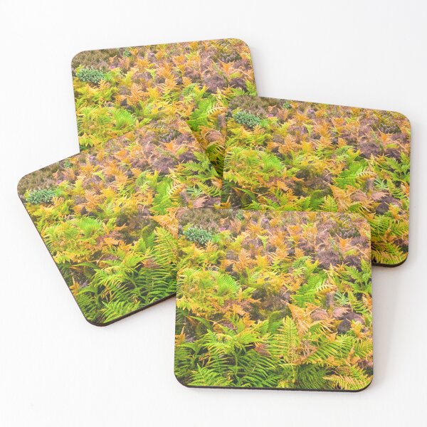 Item preview, Colourful Ferns in Kelling Heath Norfolk  designed and sold by Jim Key.