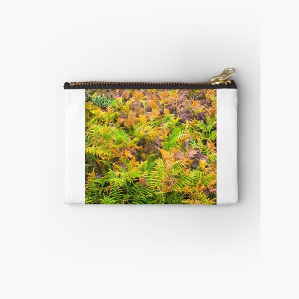 Item preview, Colourful Ferns in Kelling Heath Norfolk  designed and sold by Jim Key.