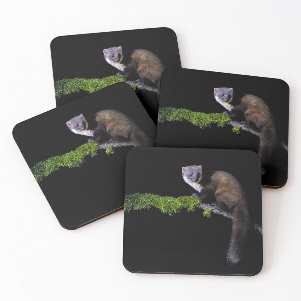 Item preview, Pine Marten designed and sold by Tom McPherson Photography.