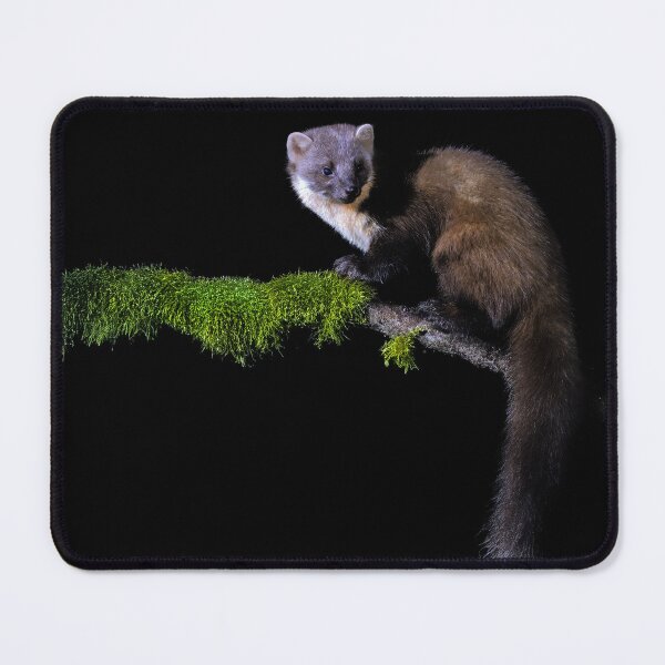 Item preview, Pine Marten designed and sold by Tom McPherson Photography.
