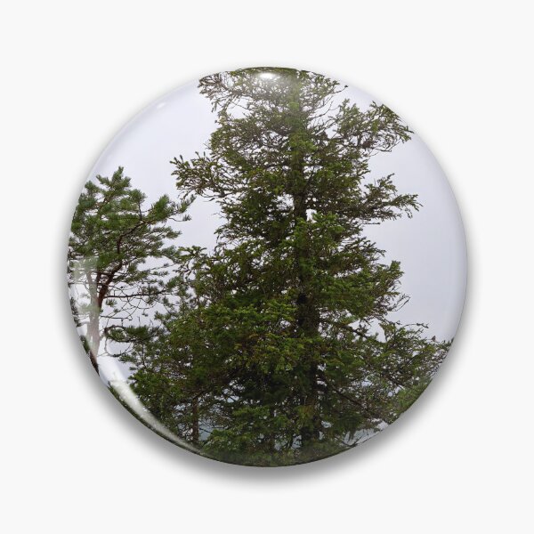 Item preview, Spruce on the edge. Konttainen 2025 designed and sold by Jouko Lehto Photography.