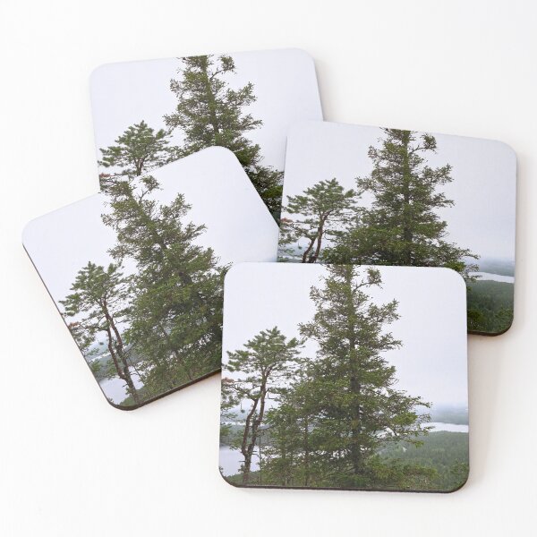 Item preview, Spruce on the edge. Konttainen 2025 designed and sold by Jouko Lehto Photography.
